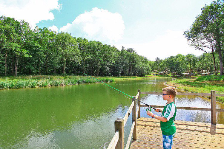 Saint Avit Loisirs Aquitania - Saint-Avit-de-Vialard visuel 14/14