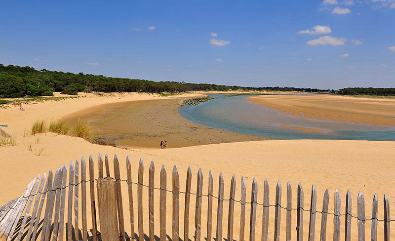 Les Cabanes d'Oléron Paesi della Loira - Talmont-Saint-Hilaire visuel 1/10