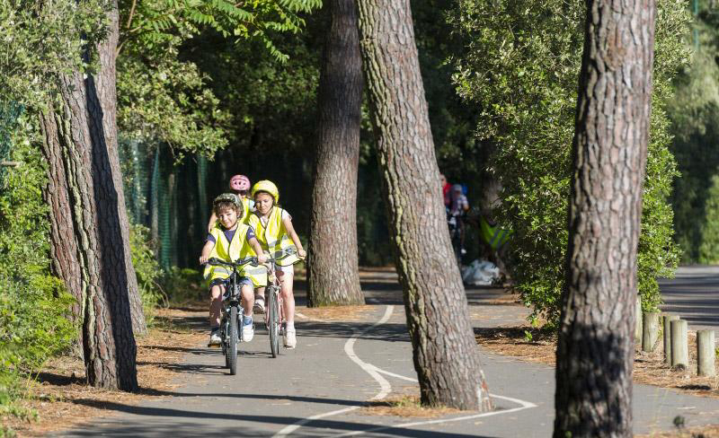Les Cabanes d'Oléron Paesi della Loira - Talmont-Saint-Hilaire visuel 5/10