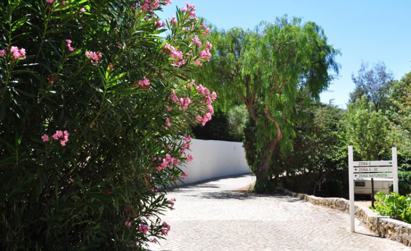 Salema Eco Camp Algarve - Budens visuel 12/12