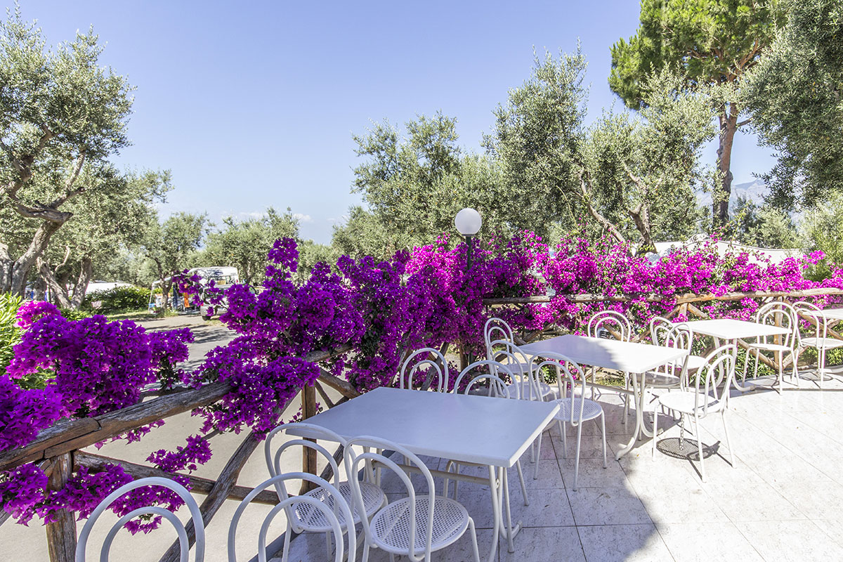 Santa Fortunata Campania - Sorrente visuel 22/28