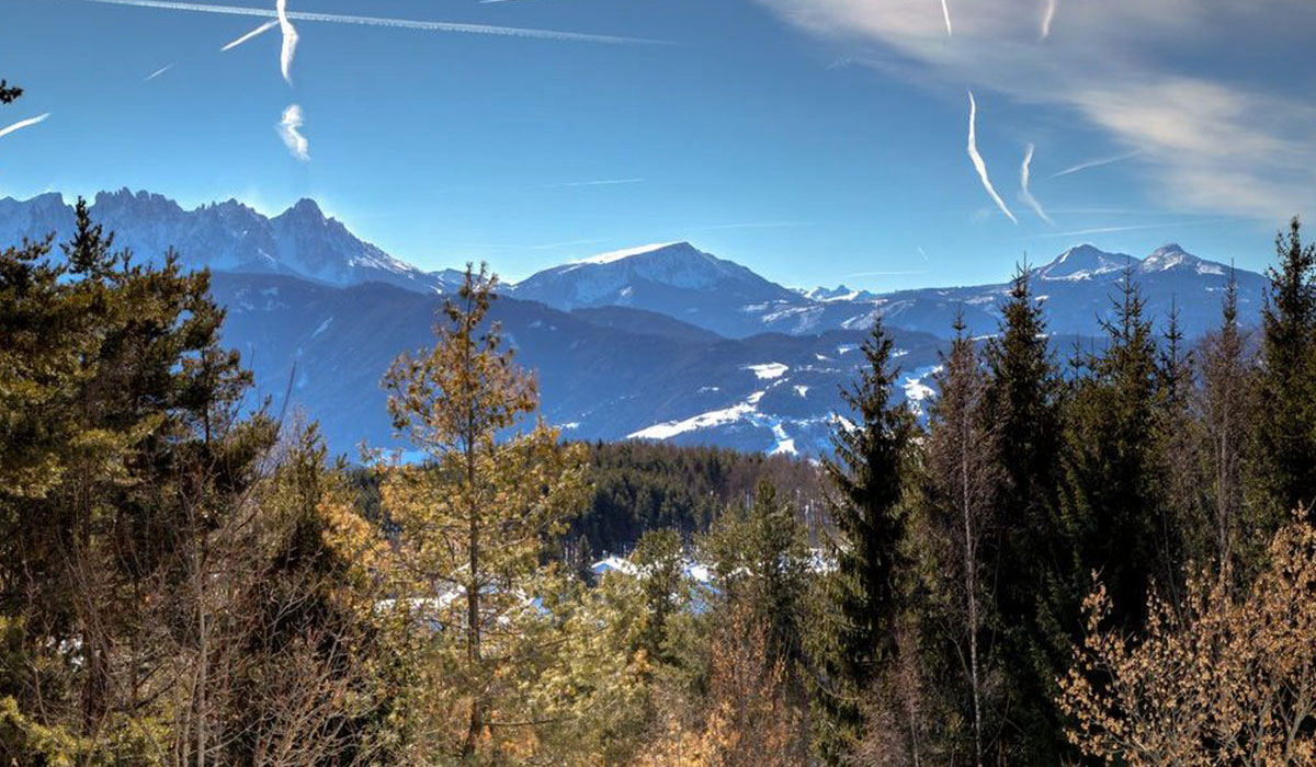 Schartner Alm Trentino-Alto Adige - Renon visuel 1/1