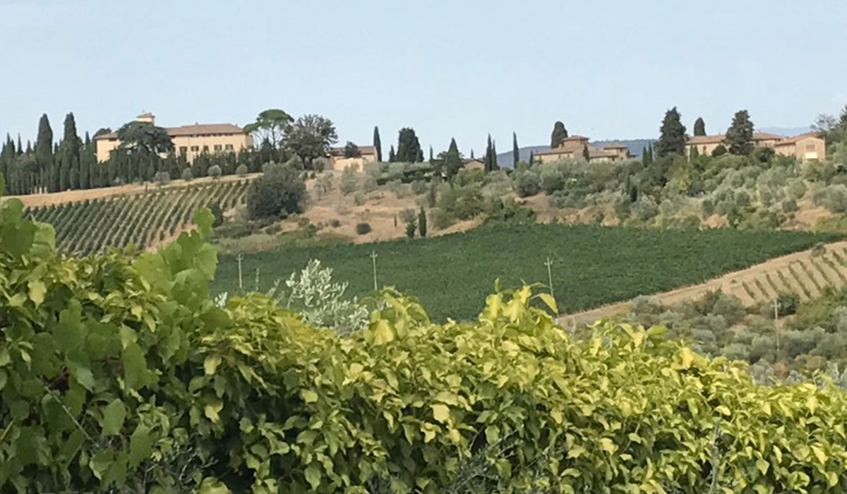 Semifonte Toscana - Barberino Val d'Elsa visuel 1/5