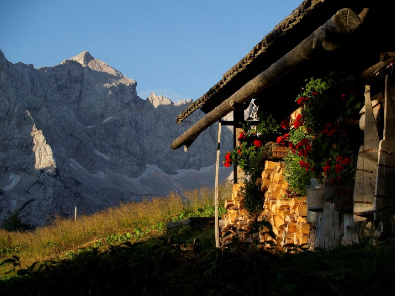Senk's Homestead Carinzia - Jezersko visuel 3/3