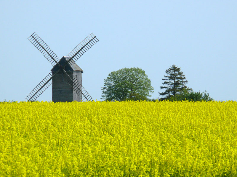 Senonches Centro-Valle della Loira - Senonches visuel 1/1