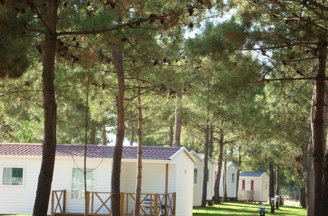 Sitava Milfontes Alentejo - Vila Nova de Milfontes visuel 2/5