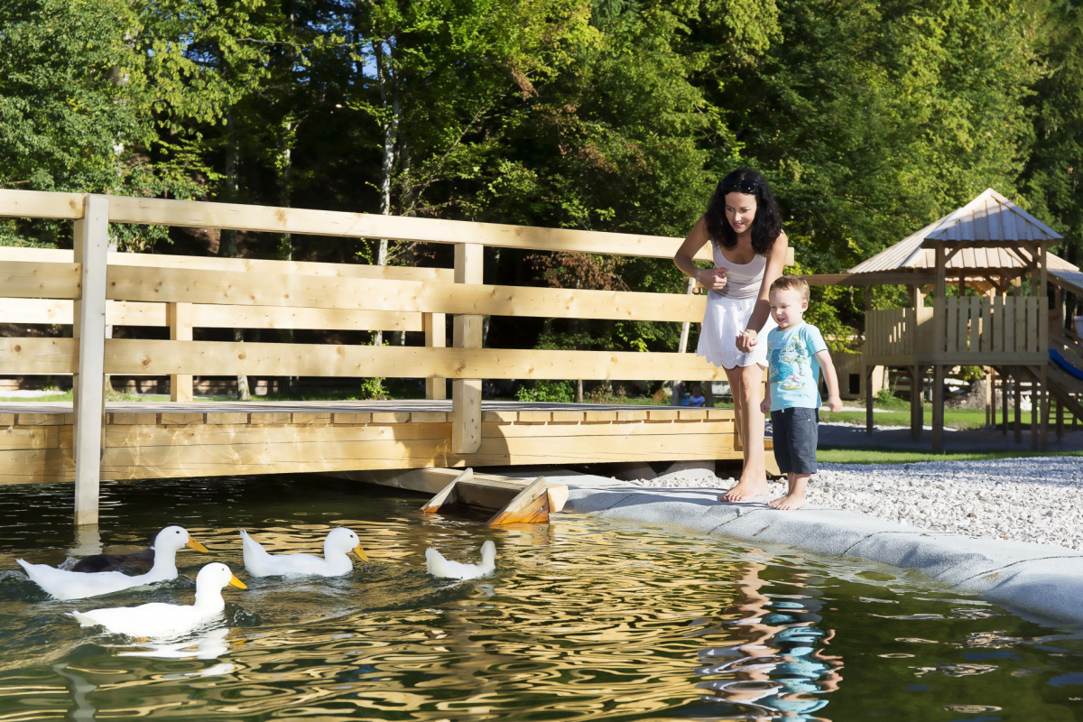 Slovenia Eco Resort Alta Carniola - Stahovica visuel 3/4