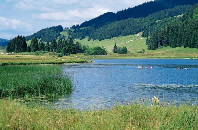 Sous Doriat Franca Contea - Monnet-la-Ville visuel 2/17