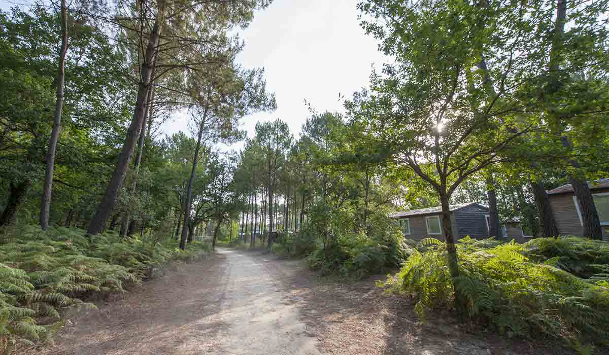 Soustons Village Aquitania - Soustons visuel 20/25