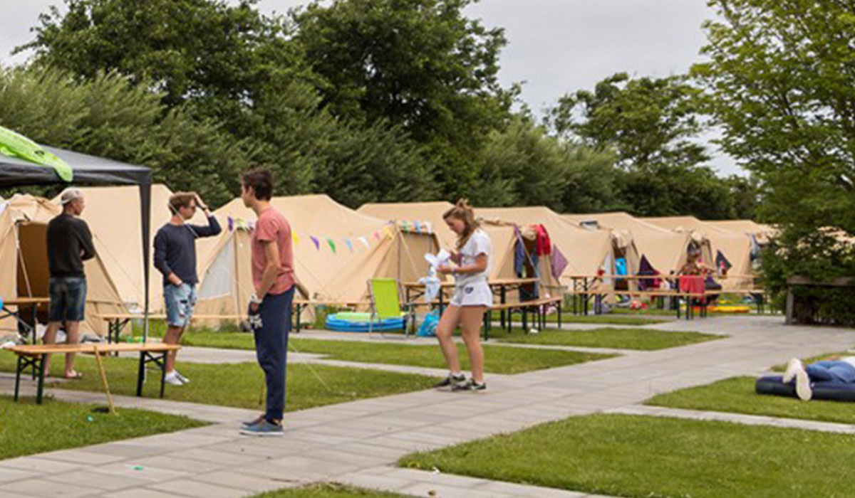 Terpstra Frisia - Midsland visuel 1/1