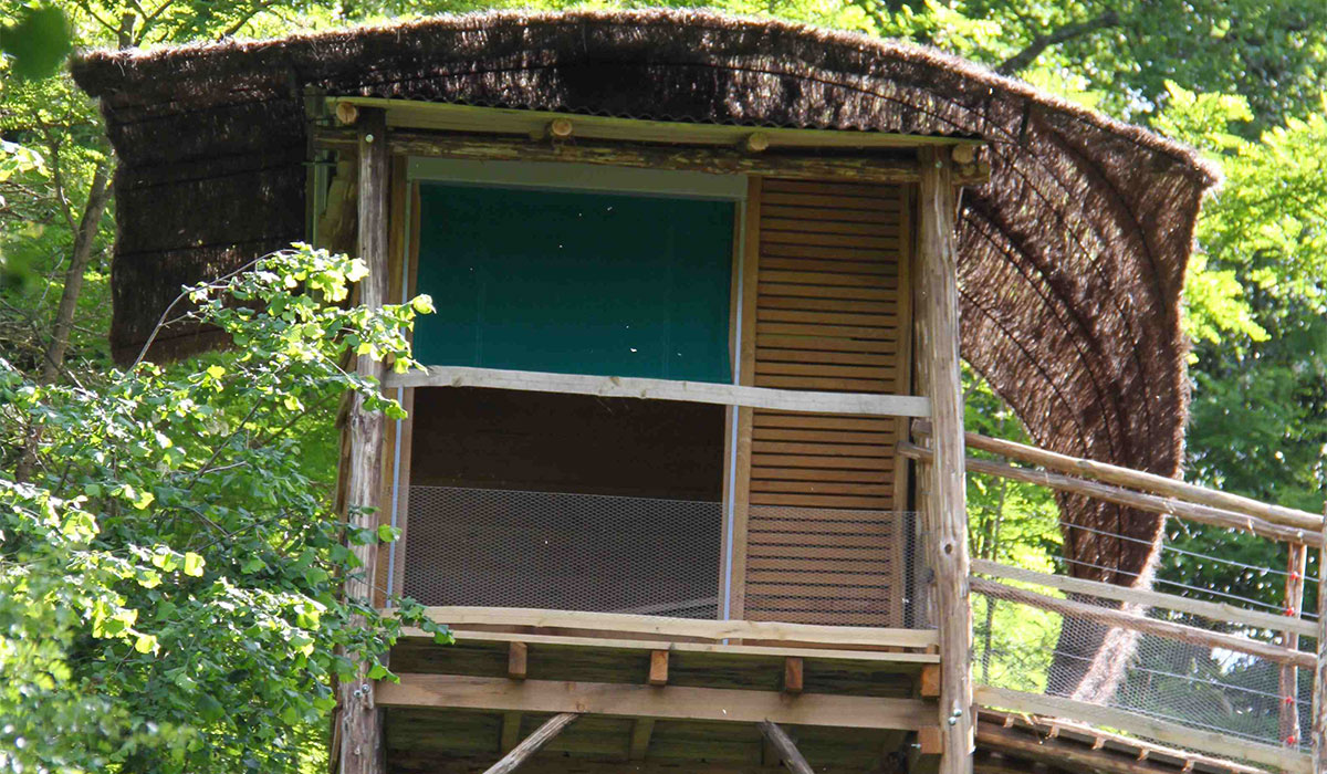 Domaine Terragora Lodges Paesi della Loira - Les Épesses visuel 9/12