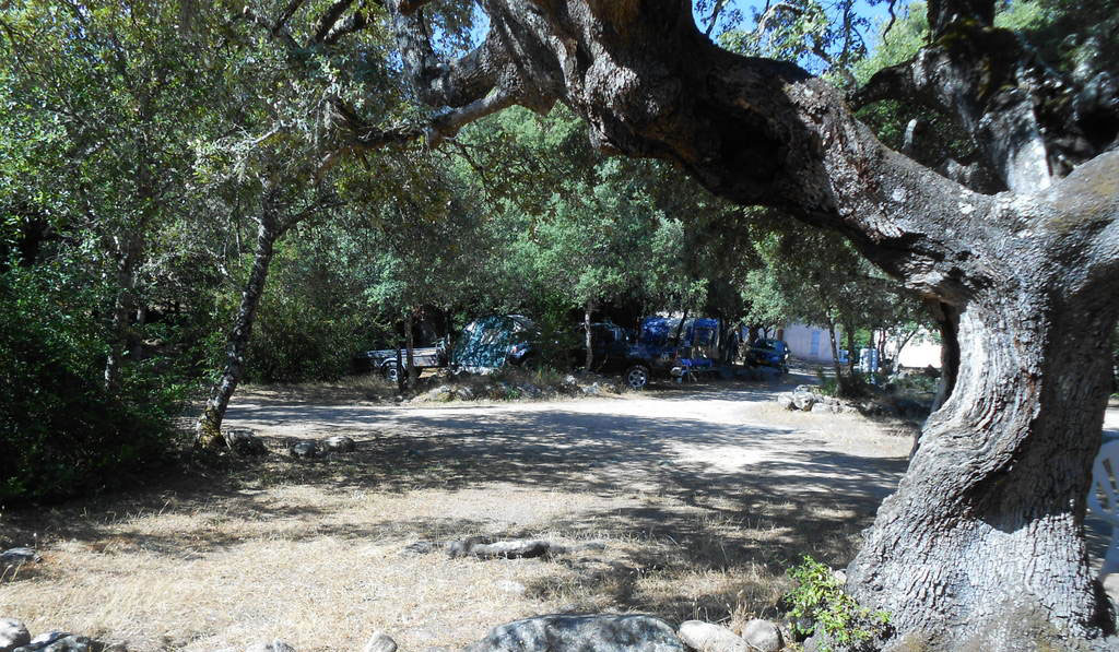 Tizarella Corsica - Moltifao visuel 1/1