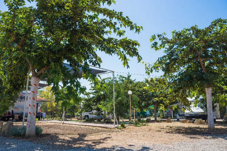 Torre Sabea Puglia - Gallipoli visuel 4/9