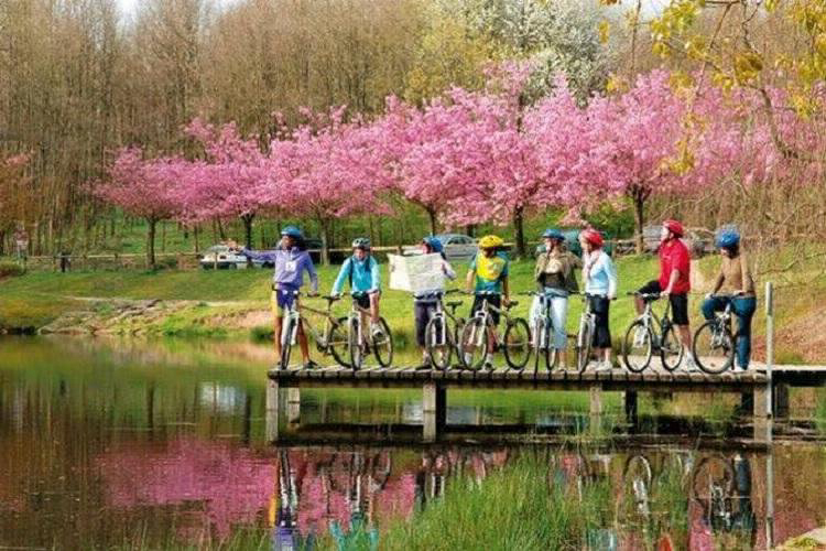 Villages Bitche Lorena - Bitche visuel 6/8 Villages Bitche Lorena - Bitche visuel 6/8