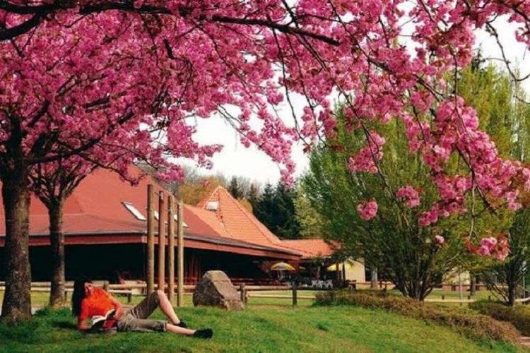 Villages Bitche Lorena - Bitche visuel 5/8 Villages Bitche Lorena - Bitche visuel 5/8