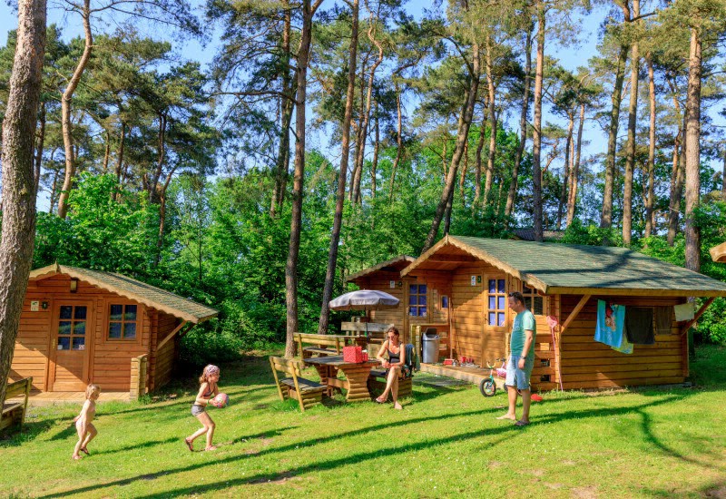 Vakantiepark Diana Heide Drenthe - amen visuel 3/4