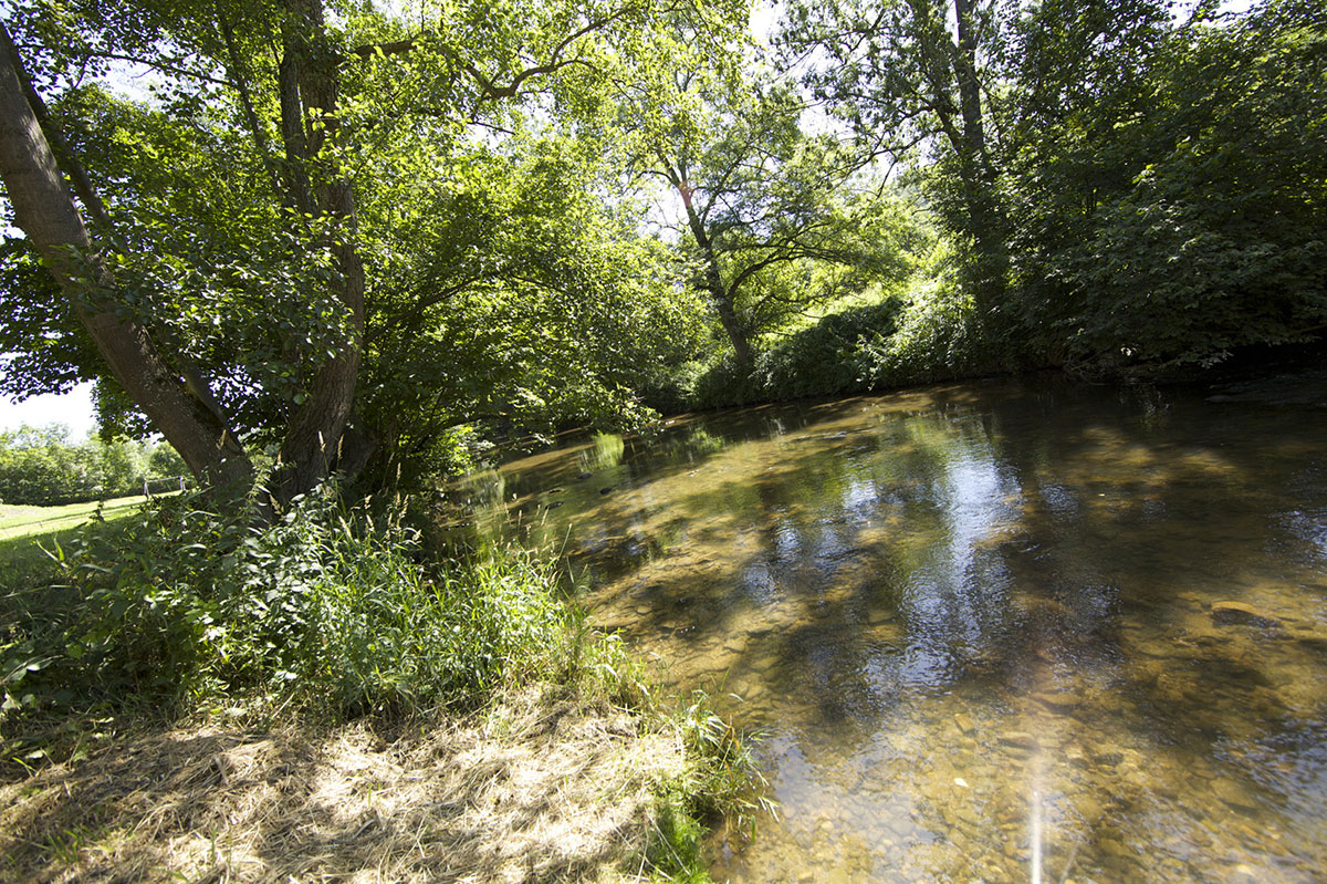 Val de Coise Rodano-Alpi - Saint-Galmier visuel 8/13