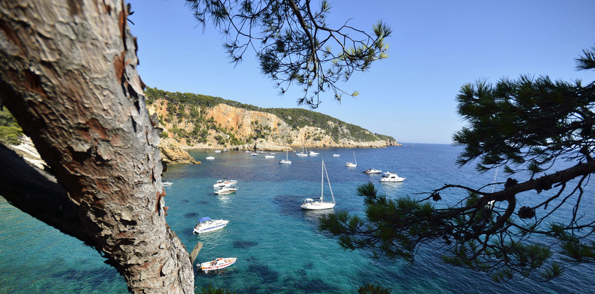 Vallongue Provenza-Alpi-Costa Azzurra - Bandol visuel 1/1 Vallongue Provenza-Alpi-Costa Azzurra - Bandol visuel 1/1