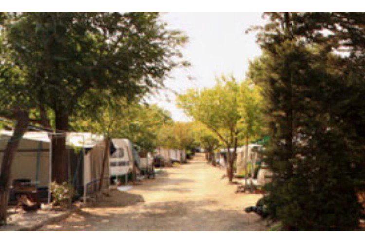 Vell Emporda Catalogna - Garriguella visuel 4/4