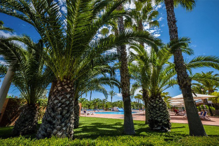 Vendrell Platja Costa Dorada - Coma-ruga visuel 6/7