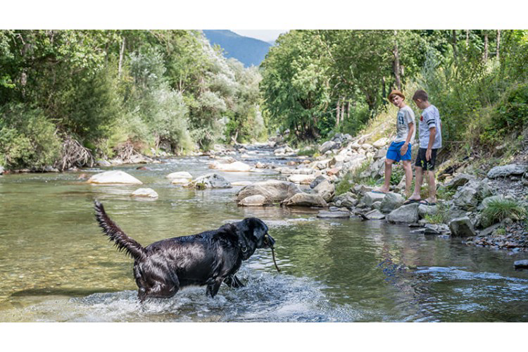 Verneda Mountain Resort Catalogna - Lérida visuel 5/6