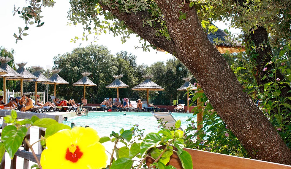 Vigna Maggiore Corsica - Olmeto visuel 2/8