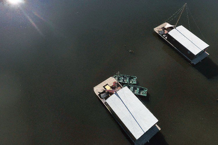 Village Toue Des Demoiselles Alvernia - Chassenard visuel 7/7 Village Toue Des Demoiselles Alvernia - Chassenard visuel 7/7