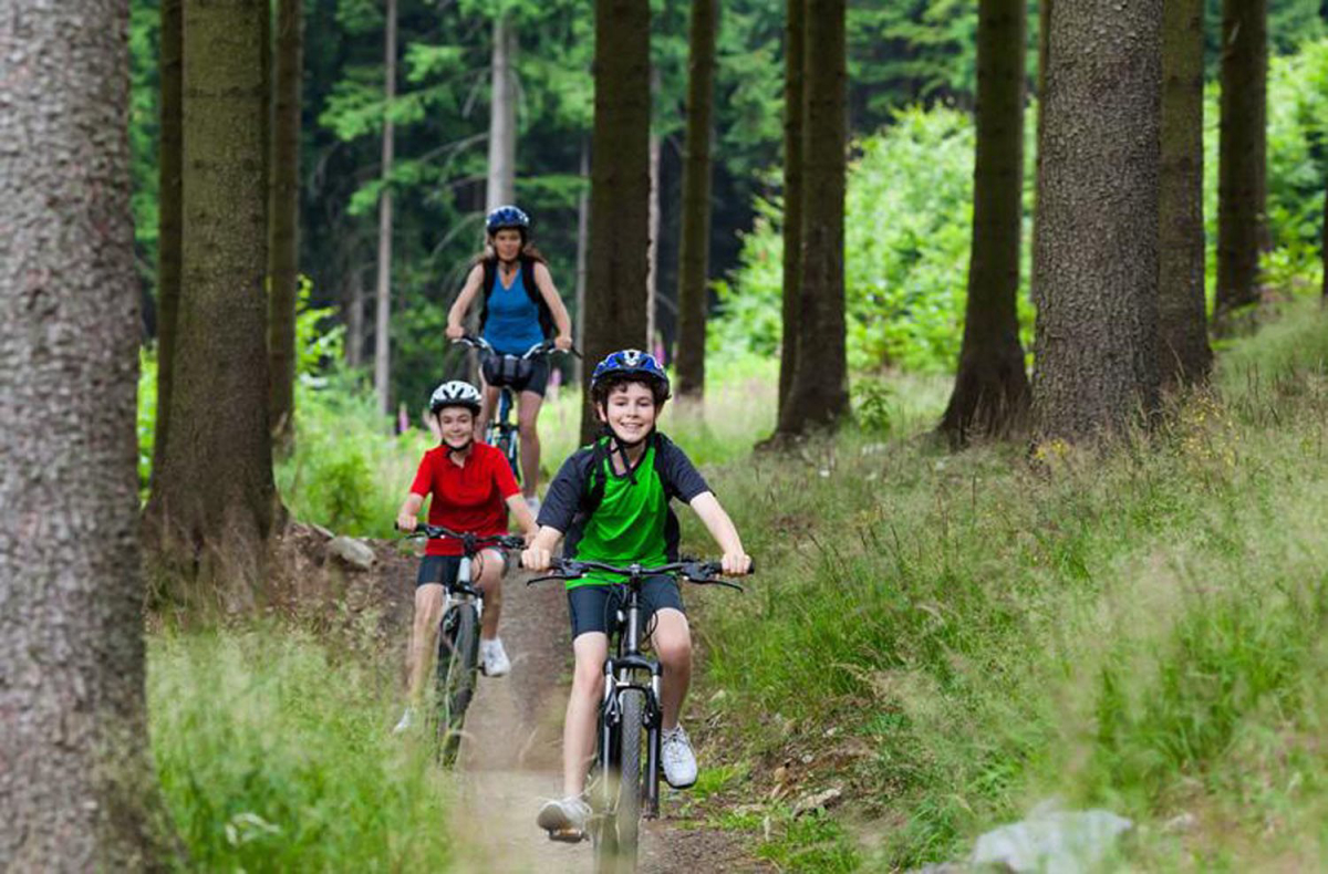 Village de Vacances Fiemme Trentino-Alto Adige - Bellamonte visuel 5/7