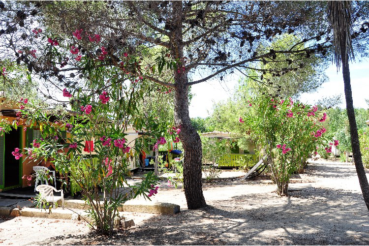 Villaggio Sos Flores Sardegna - Tortoli visuel 5/7