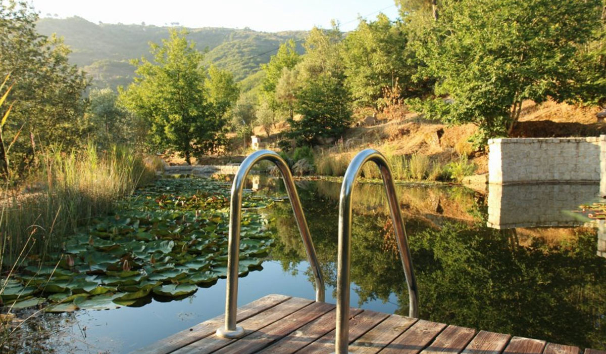 Vinha Da Manta Nord  - Faia visuel 1/4