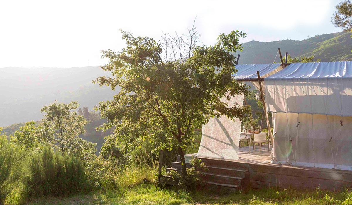 Vinha Da Manta Nord  - Faia visuel 4/4