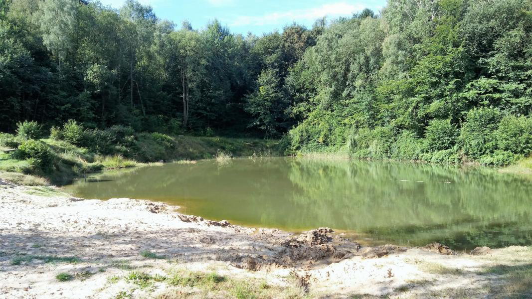 Wingst Bassa Sassonia - wingst visuel 3/4 Wingst Bassa Sassonia - wingst visuel 3/4