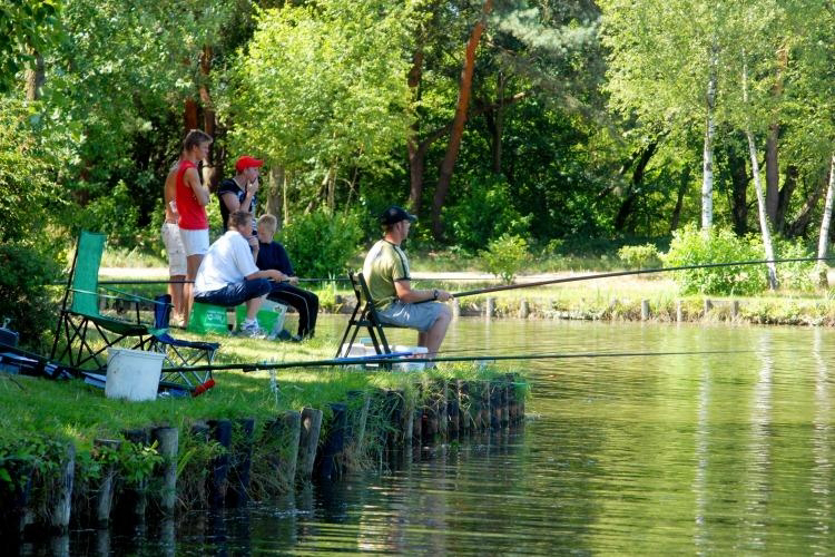 Zilverstrand Anversa - Mol visuel 6/8 Zilverstrand Anversa - Mol visuel 6/8