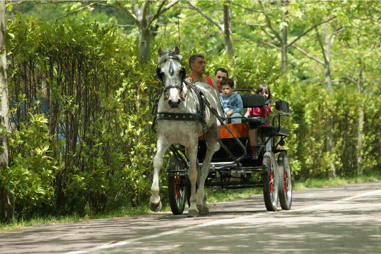 Zumaia Paese Basco - Zumaia visuel 5/9