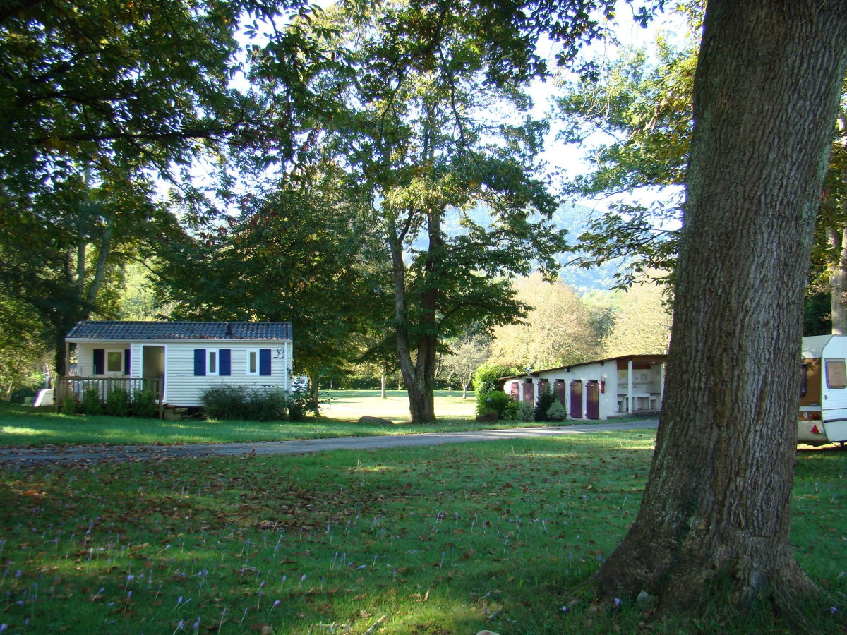A l’Ombre des Tilleuls Midi-Pirenei - Peyrouse visuel 9/10 A l’Ombre des Tilleuls Midi-Pirenei - Peyrouse visuel 9/10