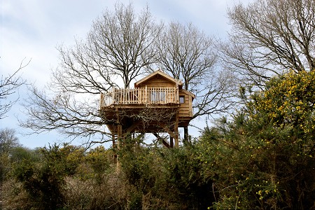 A l'Orée des Chênes Paesi della Loira - Le Girouard visuel 3/8 A l'Orée des Chênes Paesi della Loira - Le Girouard visuel 3/8