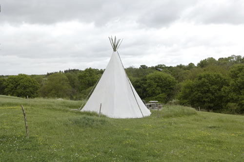 A l'Orée des Chênes Paesi della Loira - Le Girouard visuel 5/8 A l'Orée des Chênes Paesi della Loira - Le Girouard visuel 5/8