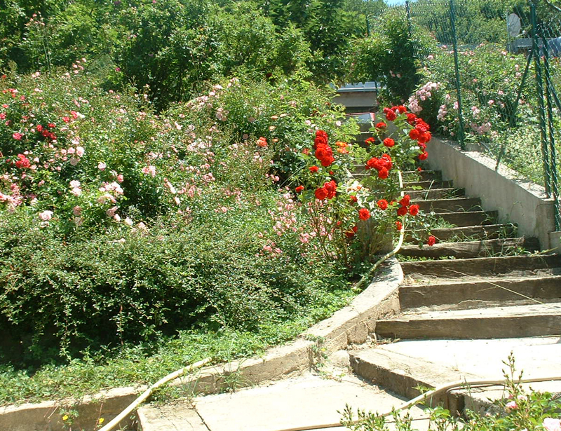 Aire Naturelle de Caneyrac Linguadoca-Rossiglione - Riols visuel 2/6 Aire Naturelle de Caneyrac Linguadoca-Rossiglione - Riols visuel 2/6