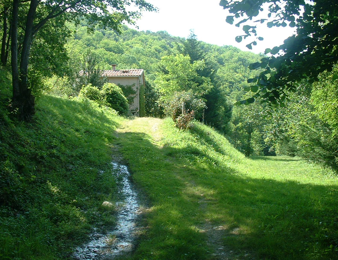 Aire Naturelle de Caneyrac Linguadoca-Rossiglione - Riols visuel 3/6 Aire Naturelle de Caneyrac Linguadoca-Rossiglione - Riols visuel 3/6