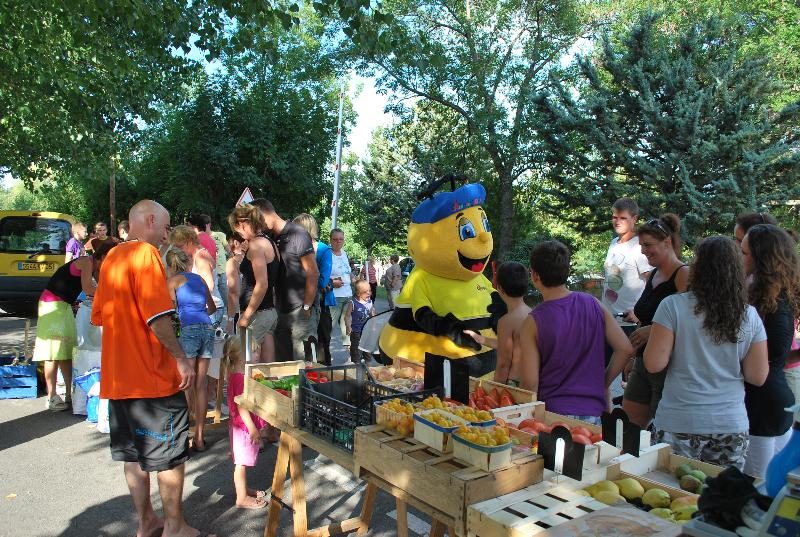 Alpes Dauphiné Provenza-Alpi-Costa Azzurra - Gap visuel 10/10 Alpes Dauphiné Provenza-Alpi-Costa Azzurra - Gap visuel 10/10