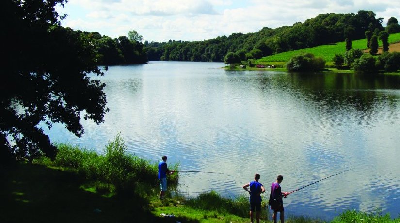 Au Bocage du Lac Bretagna - Jugon les Lacs visuel 11/12