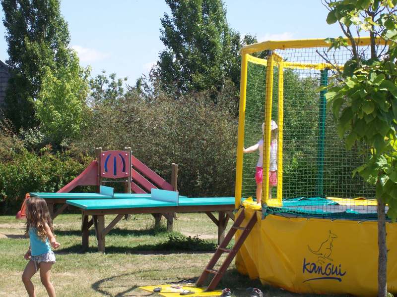 Au Bois du Cé Paesi della Loira - Chambretaud visuel 3/11