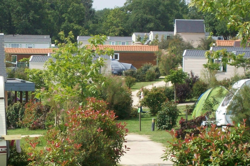 Au Bois du Cé Paesi della Loira - Chambretaud visuel 8/11