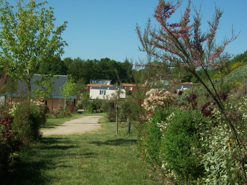 Au Bois du Cé Paesi della Loira - Chambretaud visuel 11/11