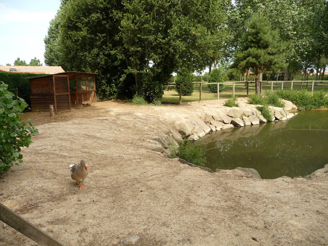 Au Bon Accueil Paesi della Loira - Brétignolles-sur-Mer visuel 3/3