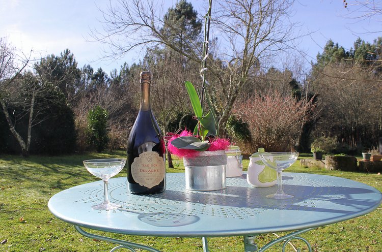 Au Pays des Bulles Poitou-Charentes - Montendre visuel 5/6