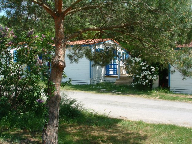 Au Petit Port de l'Houmeau Poitou-Charentes - L'Houmeau visuel 8/12 Au Petit Port de l'Houmeau Poitou-Charentes - L'Houmeau visuel 8/12