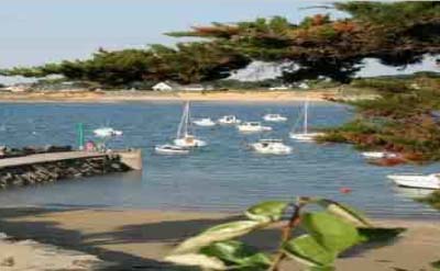 Au Soir d'été Paesi della Loira - Mesquer visuel 2/11