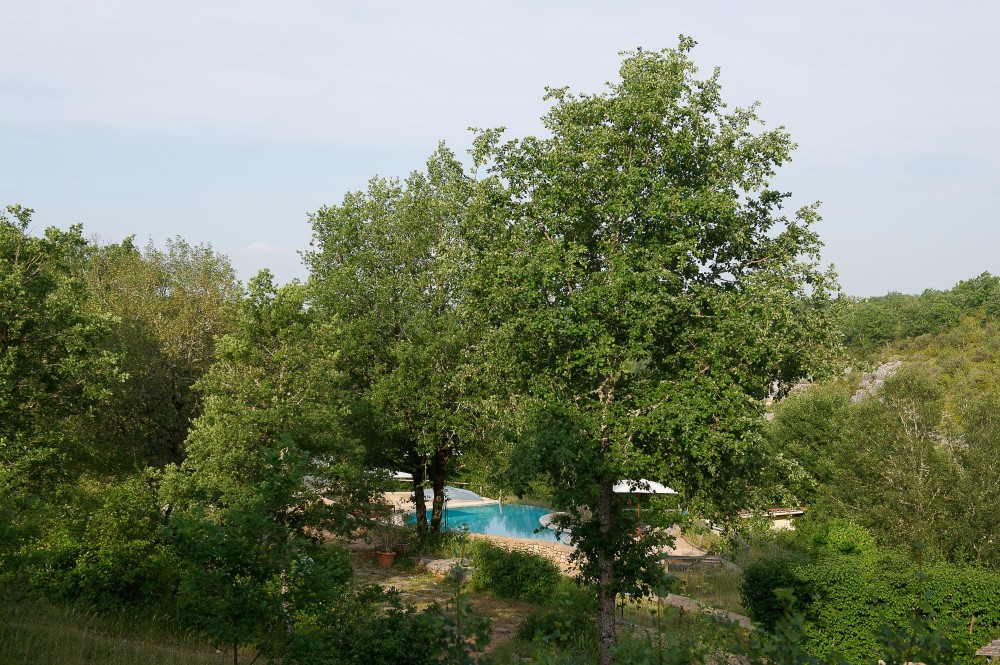 Aux Lodges du Mas de Nadal Midi-Pirenei - Sauliac-sur-Célé visuel 3/9