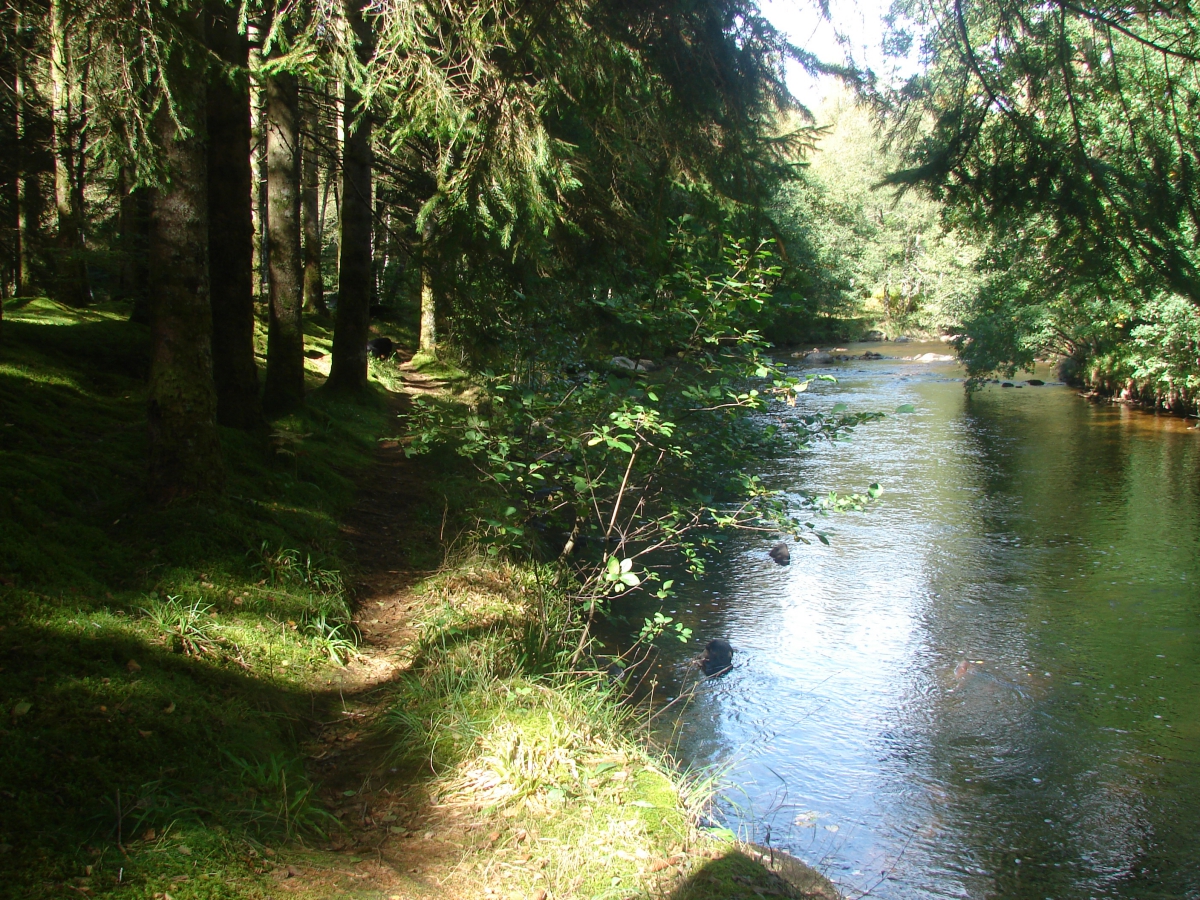 Aux Portes des Mille Sources Limosino - Bugeat visuel 2/8 Aux Portes des Mille Sources Limosino - Bugeat visuel 2/8